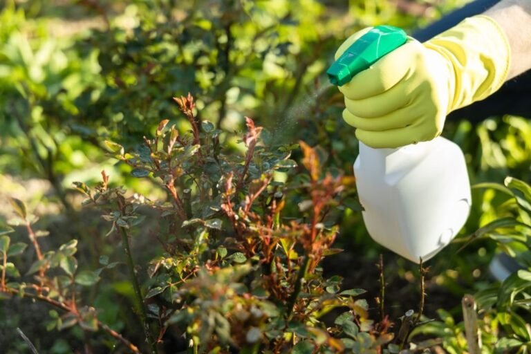 Explaining Three Effects of Harmful Substances in Crop Production