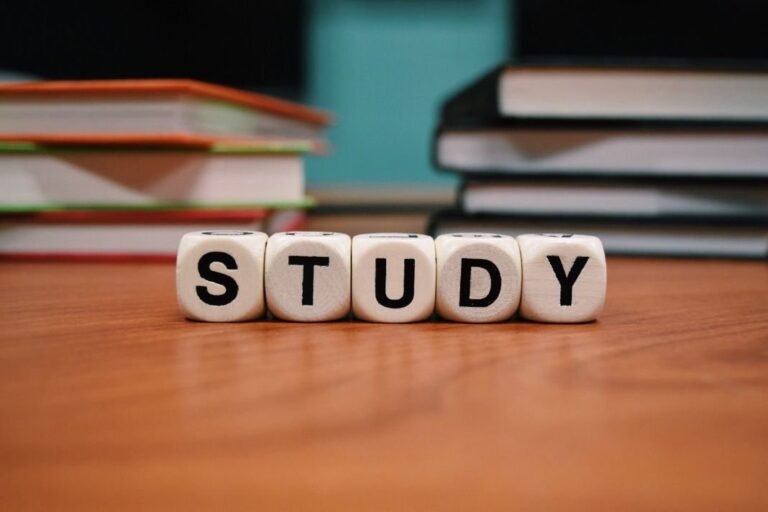 Ekonomie (Economics) CAPS Document – Lesson Plans for FET Phase Grade 10 – 12
