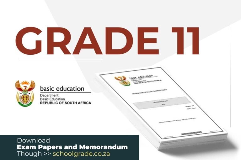 Accounting Grade 11 Exam Question Papers and Memos Download